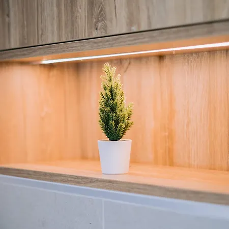 Forest Mist/plaza Afi Mall בוקרשט