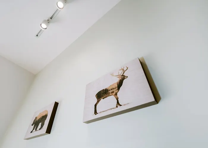 Forest Mist/plaza Afi Mall Апартаменти Бухарест