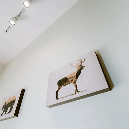 Forest Mist/plaza Afi Mall 公寓 布加勒斯特