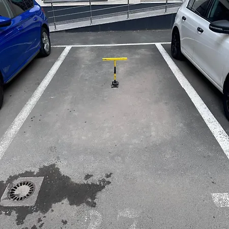 Forest Mist/plaza Afi Mall