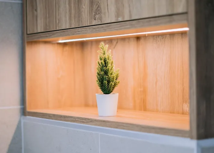 Forest Mist/plaza Afi Mall Bukarest